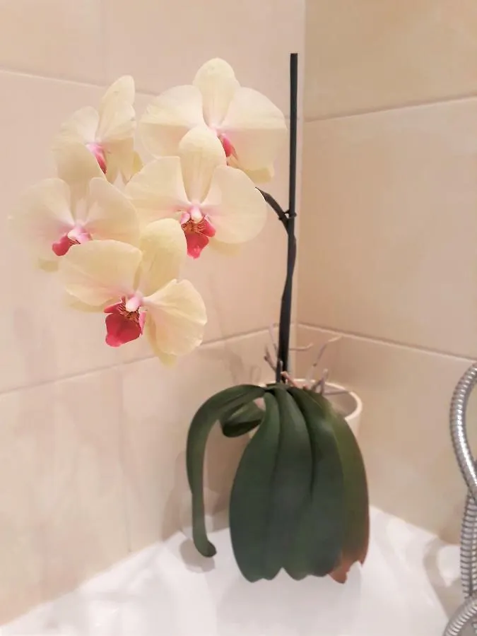 Apartament Opera Apartment Sopot